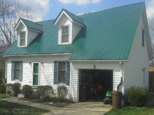 Green metal roof image