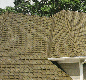 Slate roof image